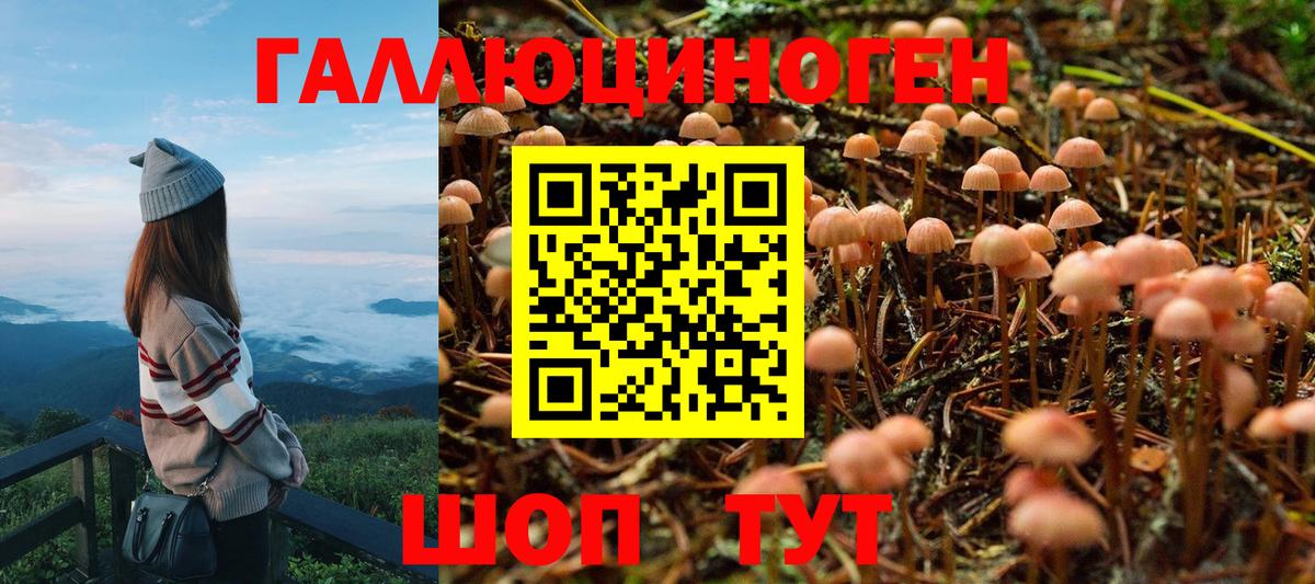 Кыштым  Галлюциногенные грибы MAGIC MUSHROOMS  где продают   Вход с VPN 